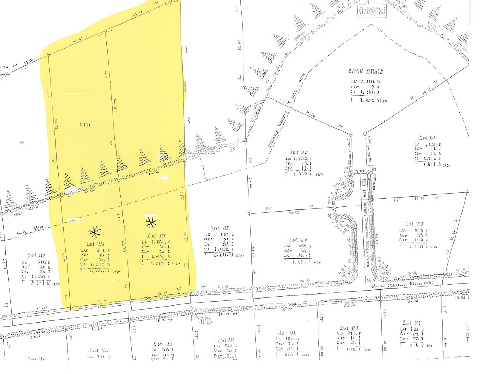 1747335219734 e7374aff d6c2 4435 9b28 b45062d47c20 1 1