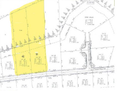 1747335219734 e7374aff d6c2 4435 9b28 b45062d47c20 1