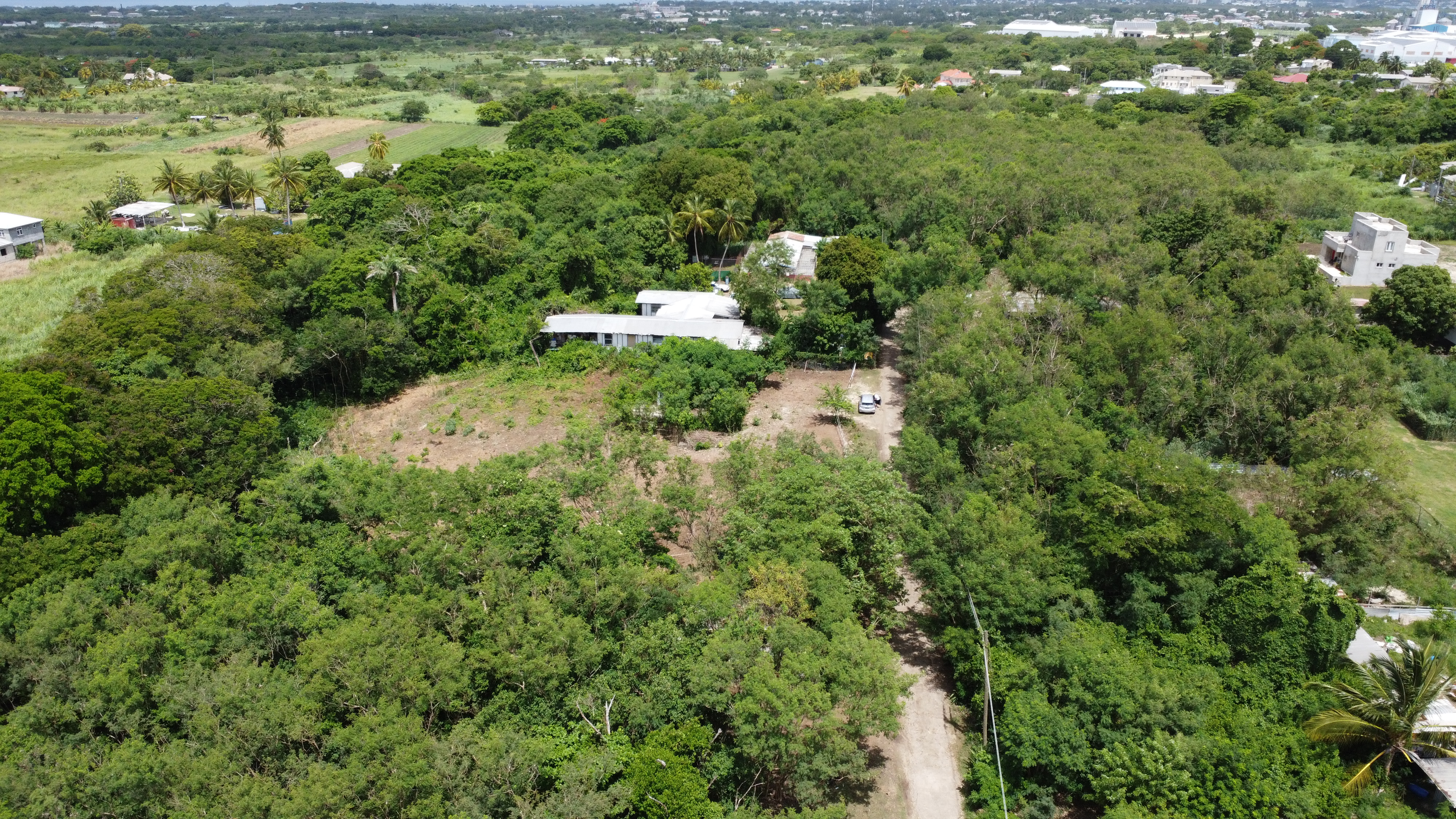 DJI 0037