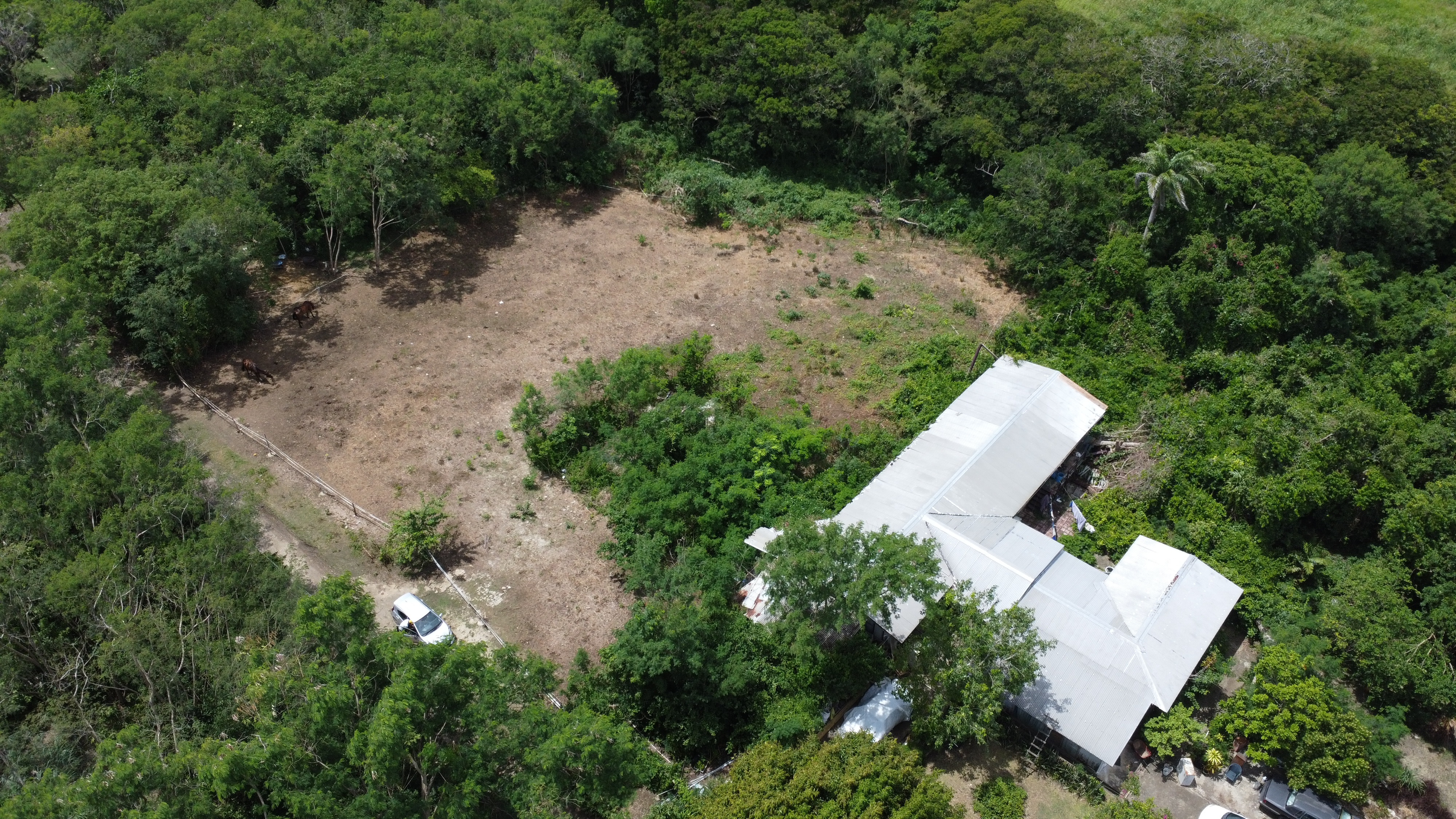 DJI 0041
