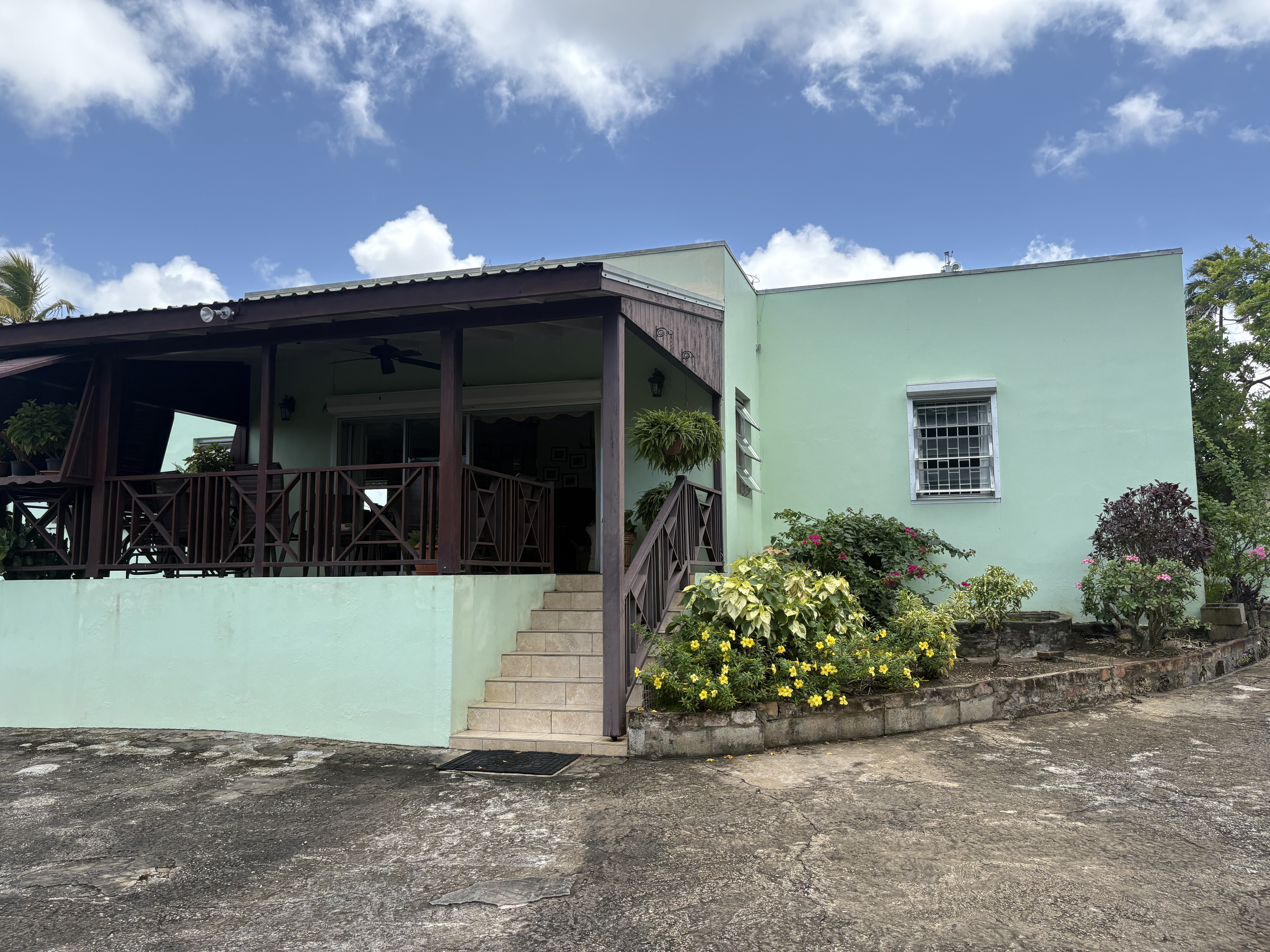 IMG 0594