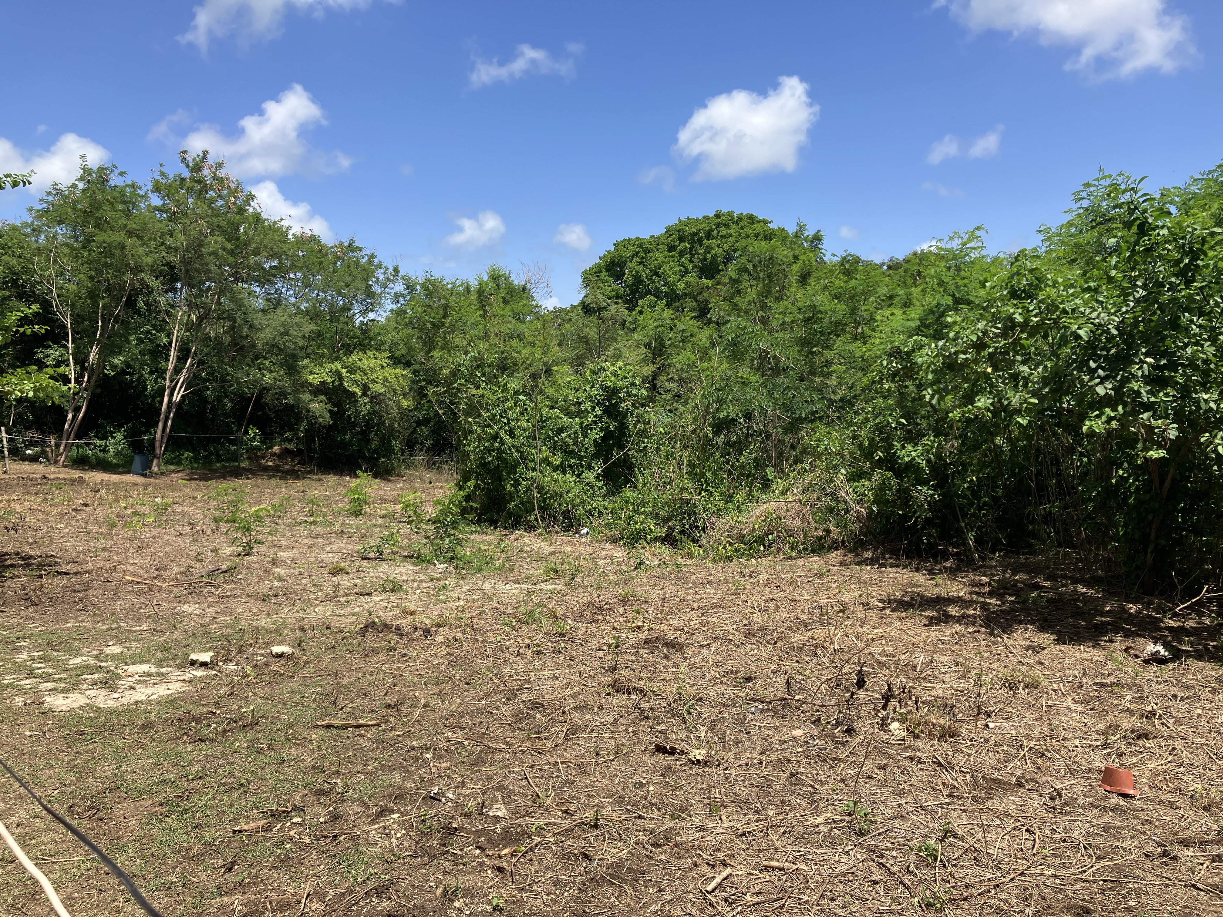 Lot C2