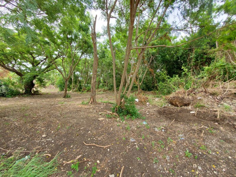 Lot D2