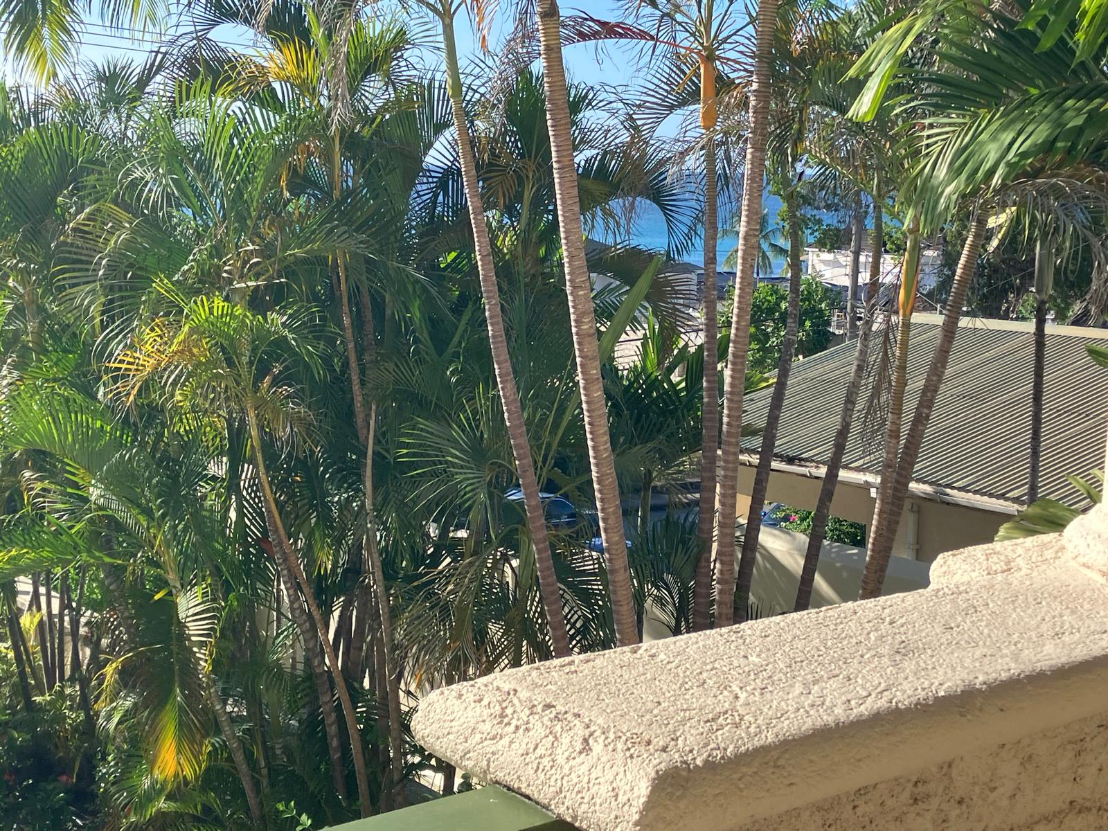 Patio view