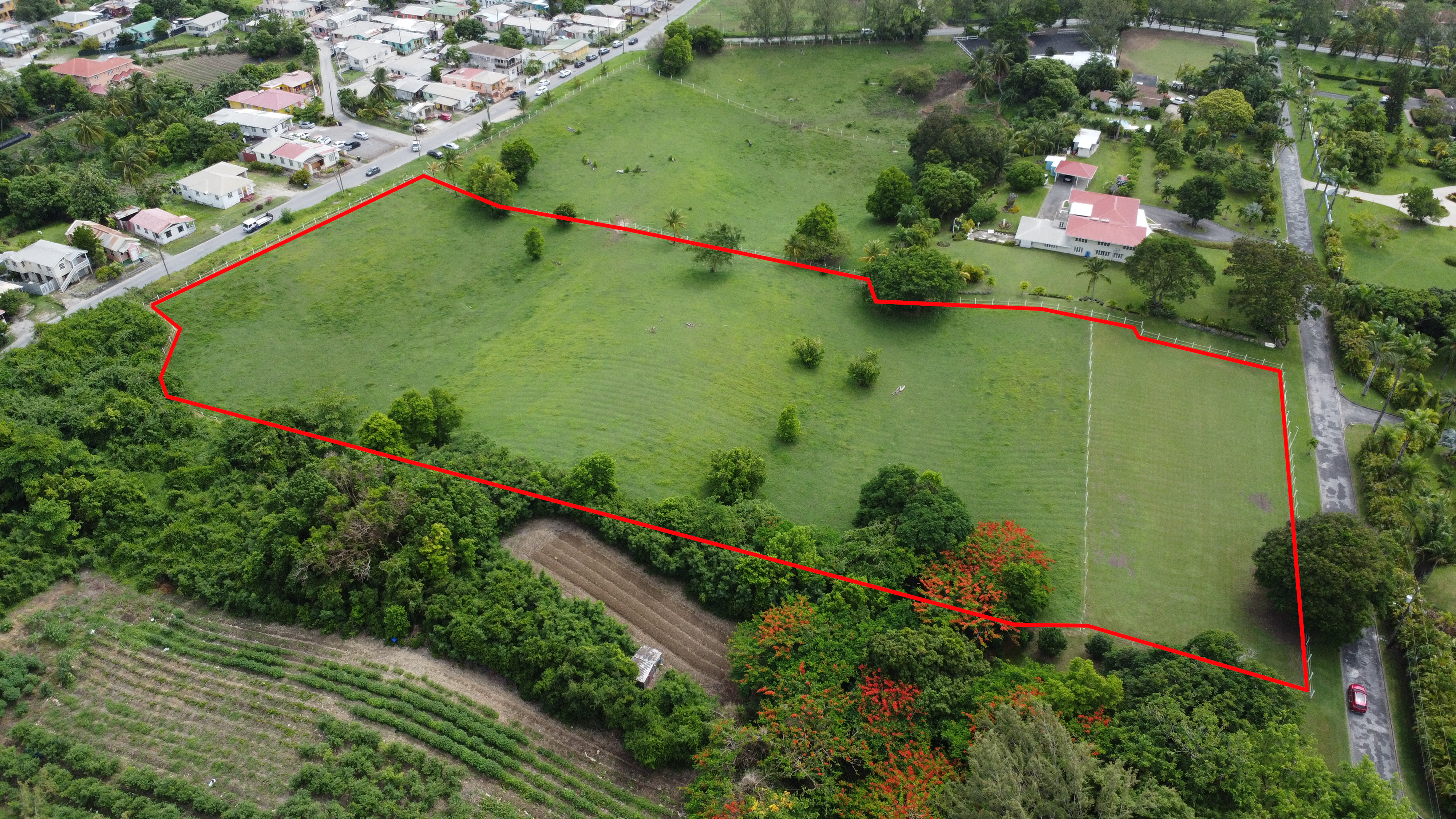 frere pilgrim outlined 3