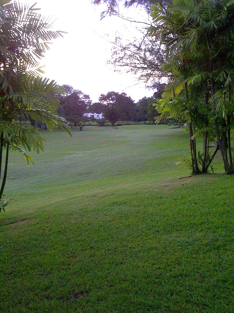 golfcourse2