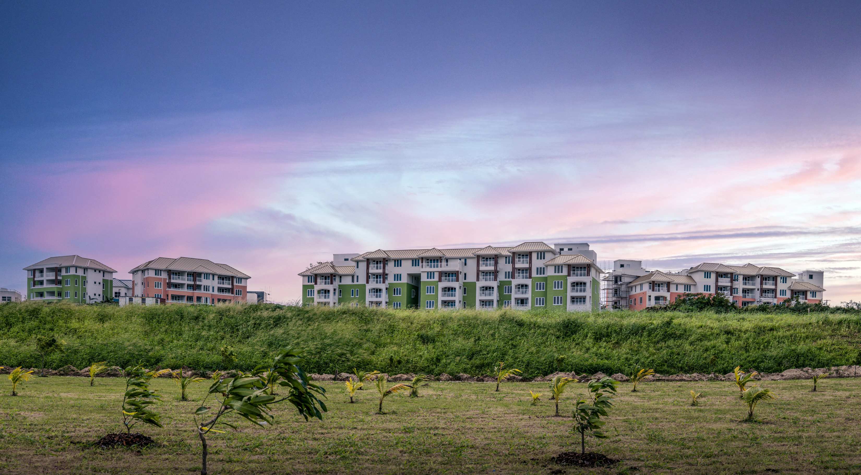 Complex from orchard resized