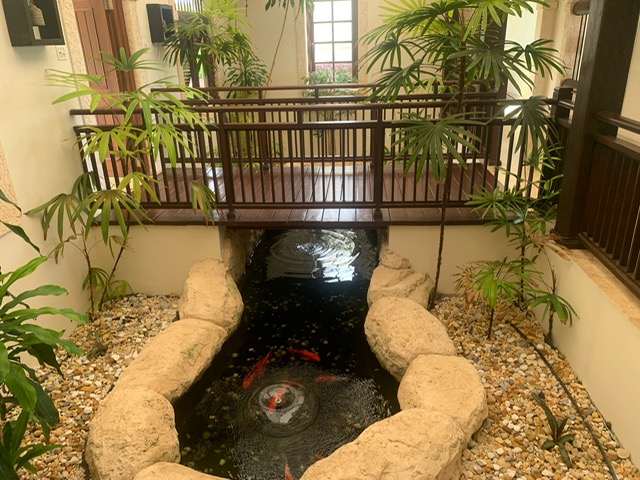PHOTO 2025 01 03 16 21 31