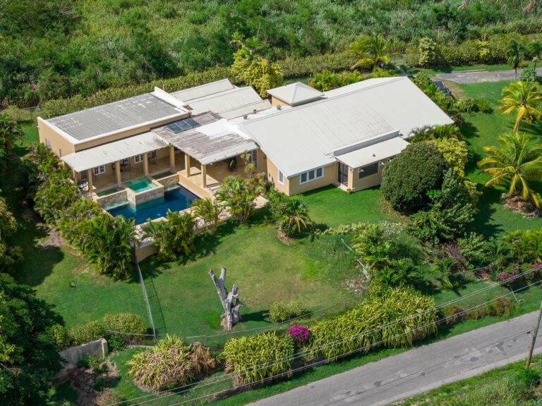 DJI 20251015135518 0025 D 768x576