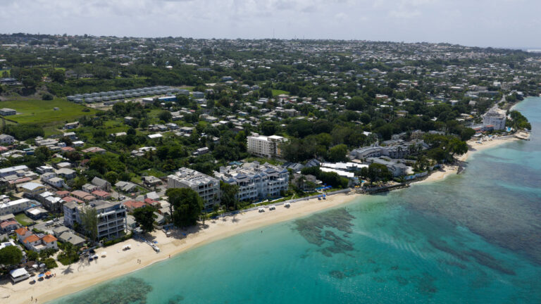 003 OceanBlue Montage BirdsEye TreeOverhang resized 2 768x432