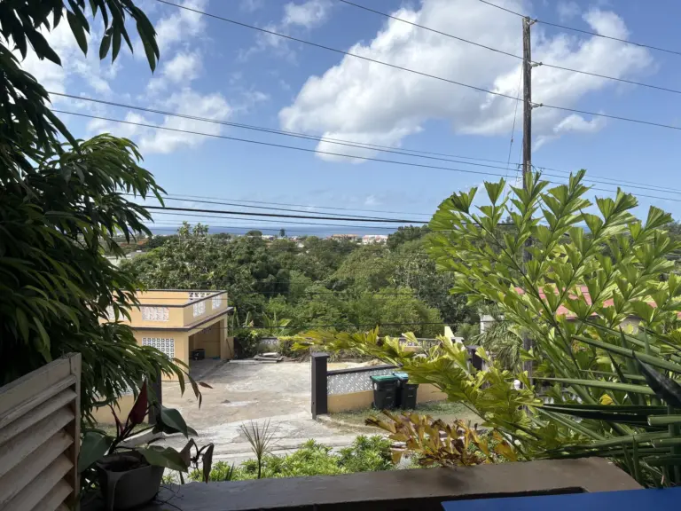 Fordes Road View 768x576