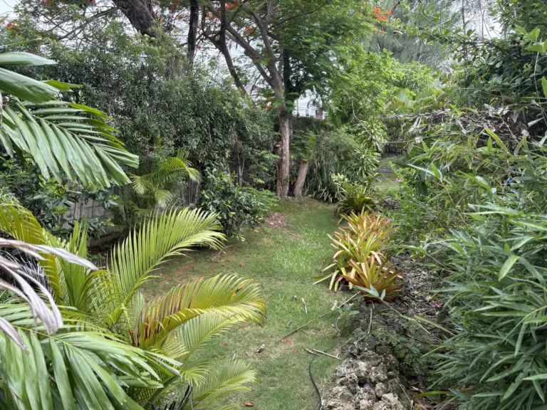 Walkers Garden 768x576